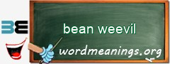 WordMeaning blackboard for bean weevil